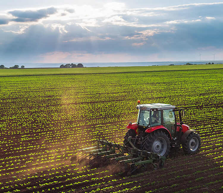 Ein Trecker fährt in Abendsonne über ein Feld